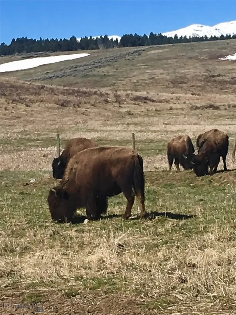 Nnn Buffalo Drive West Yellowstone MT 59758