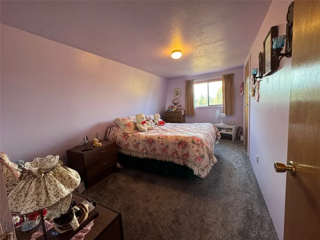 124 Deer Park Lane Anaconda MT 59711