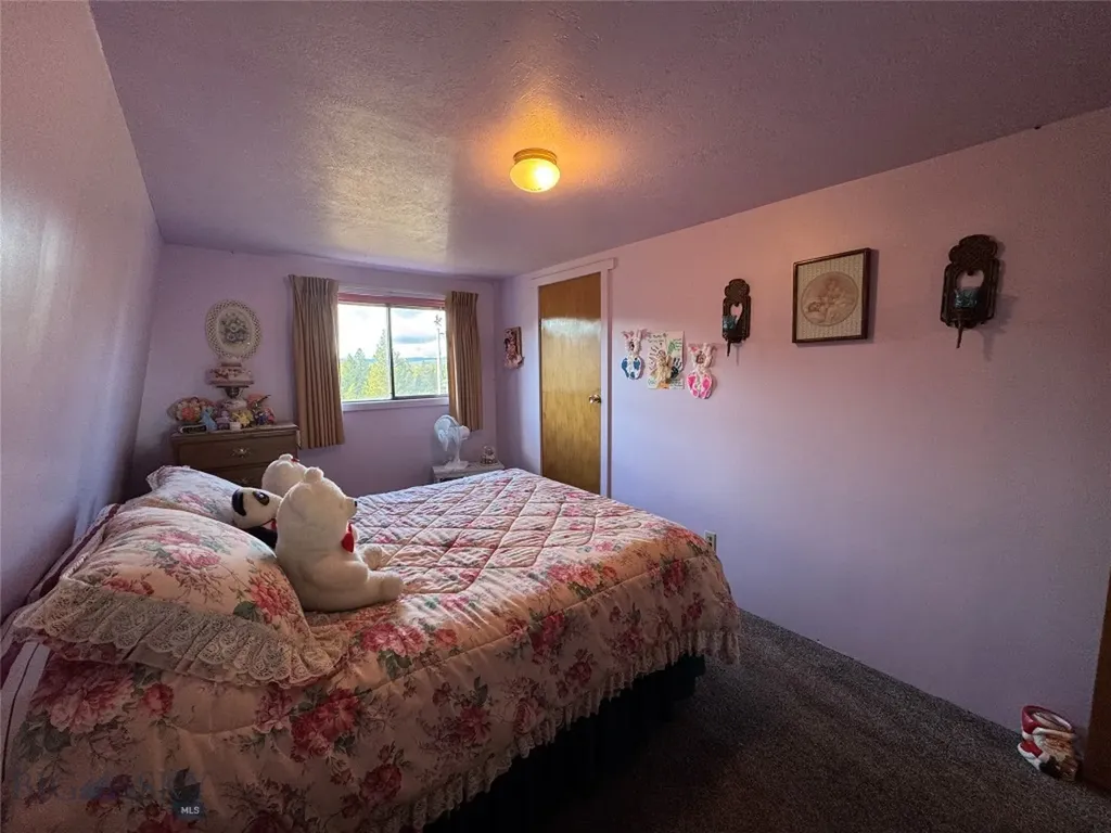 124 Deer Park Lane Anaconda MT 59711