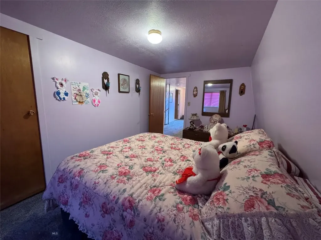 124 Deer Park Lane Anaconda MT 59711