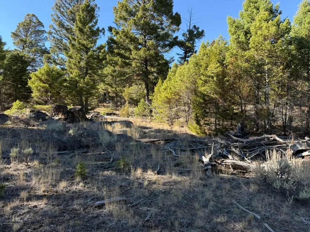 91 Upper Radar Creek Road Whitehall MT 59759