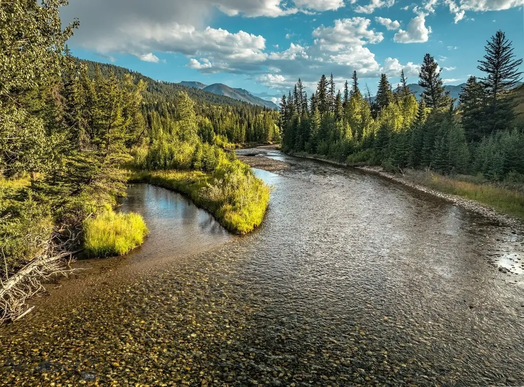 Mcleod MT 59052