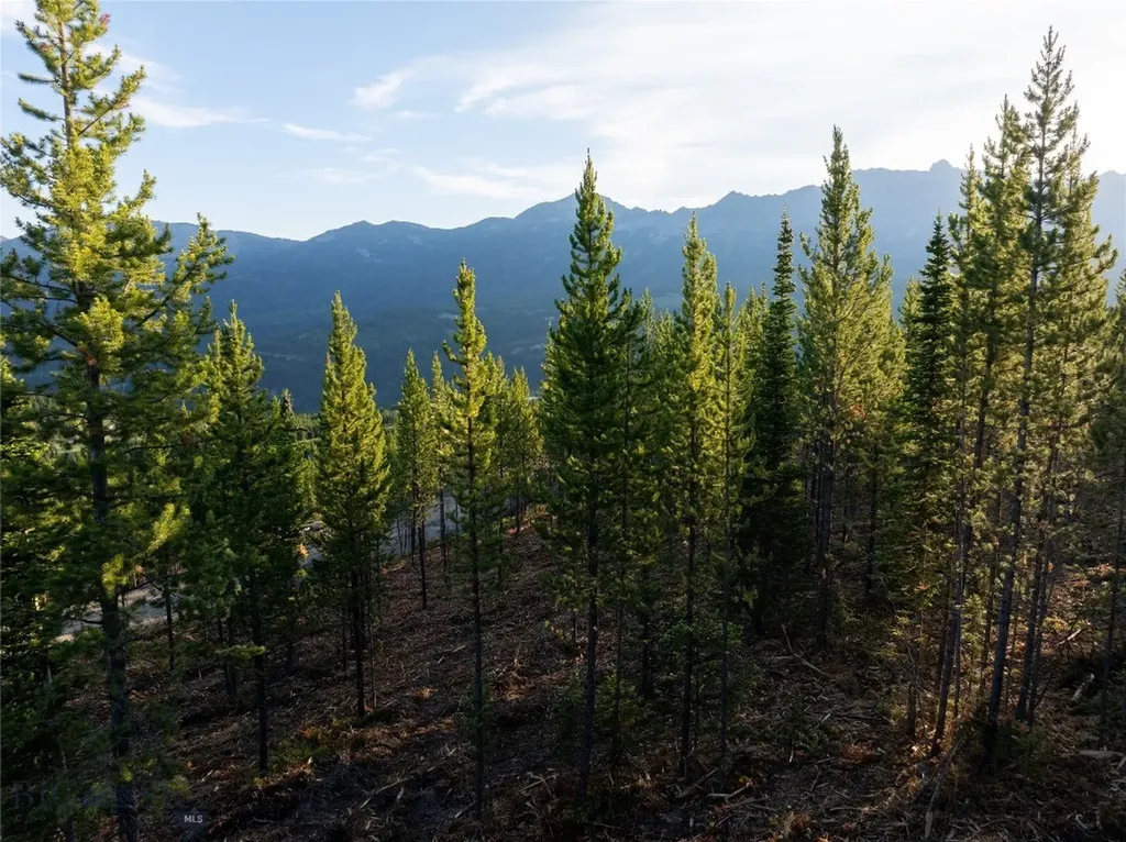 Tbd Sawtooth Road Big Sky MT 59716