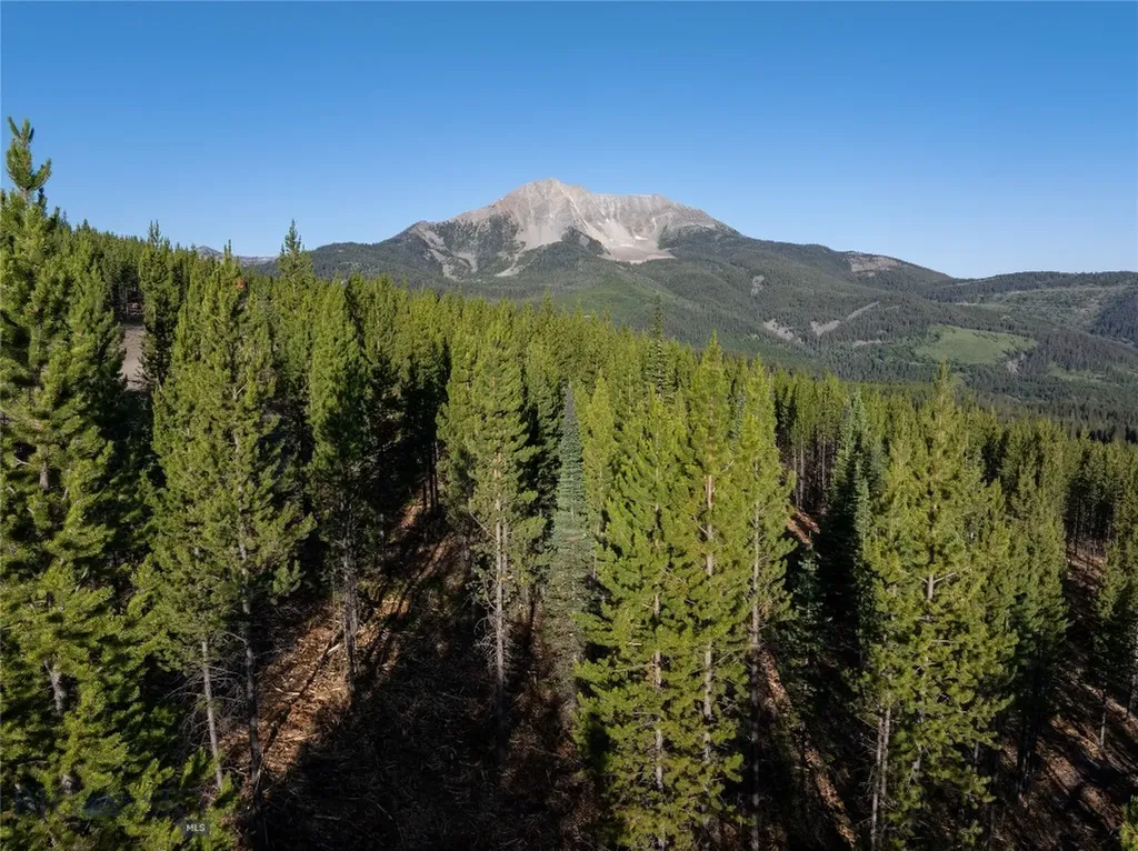 Tbd Sawtooth Road Big Sky MT 59716