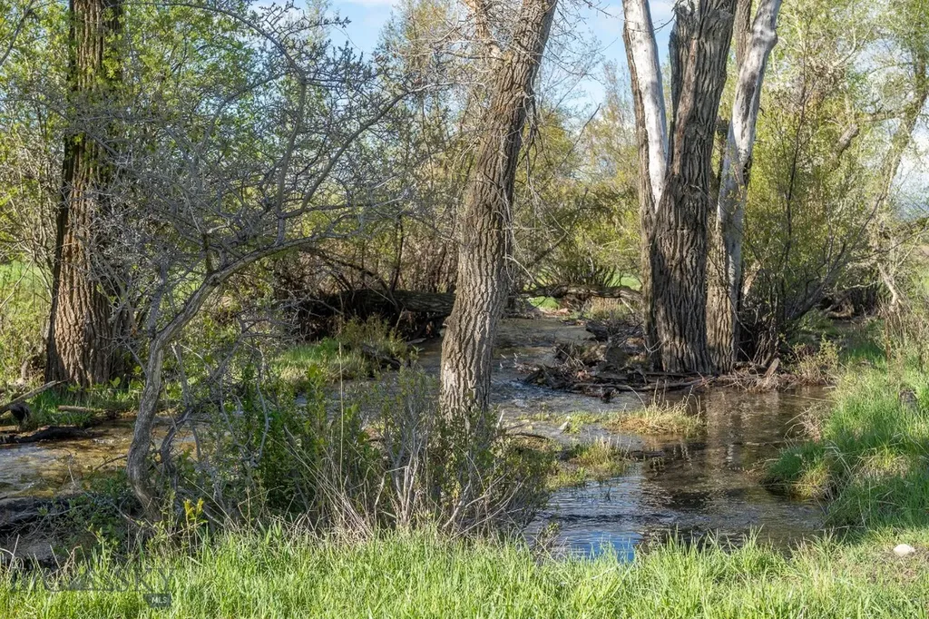 Nhn Suce Creek Road Livingston MT 59047