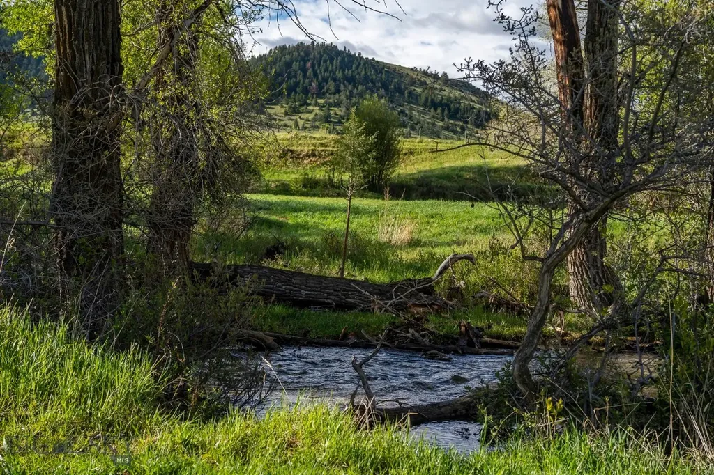 Nhn Suce Creek Road Livingston MT 59047