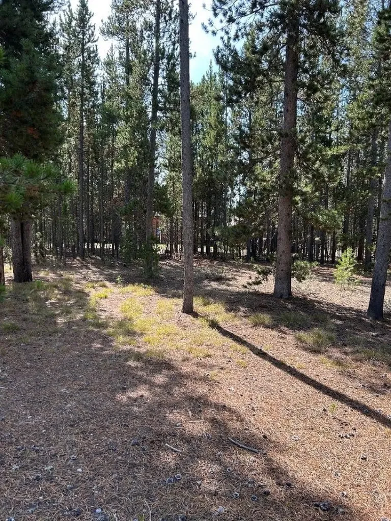 Tbd Grouse Court West Yellowstone MT 59758