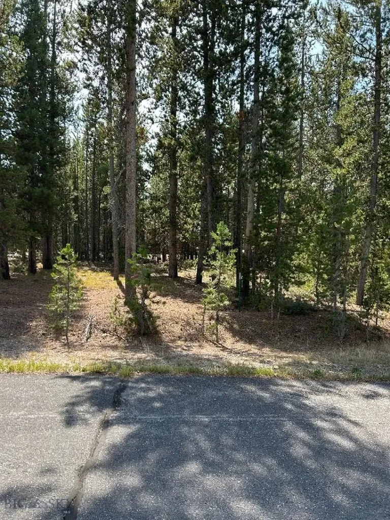 Tbd Grouse Court West Yellowstone MT 59758