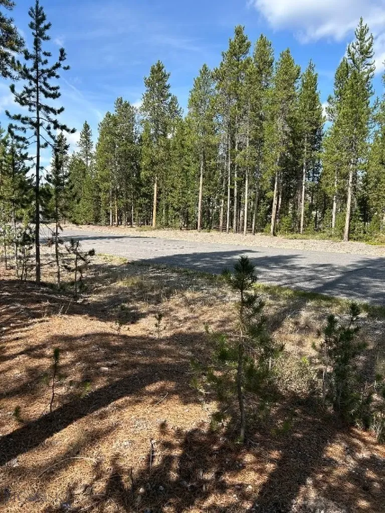 Tbd Grouse Court West Yellowstone MT 59758