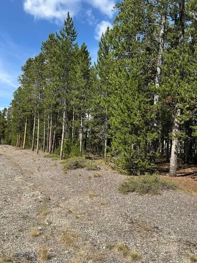 Tbd Grouse Court West Yellowstone MT 59758