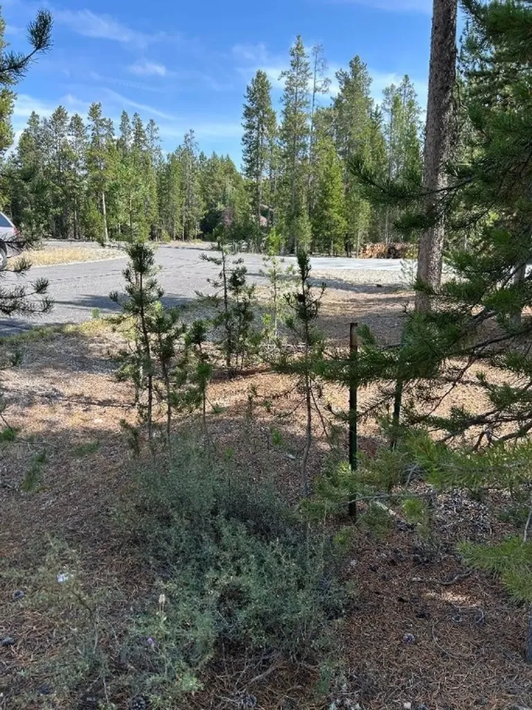 Tbd Grouse Court West Yellowstone MT 59758
