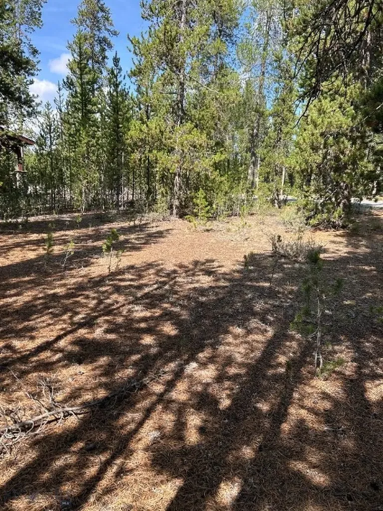 Tbd Grouse Court West Yellowstone MT 59758