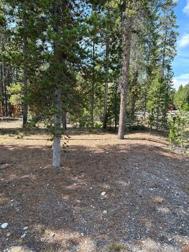 Tbd Grouse Court West Yellowstone MT 59758
