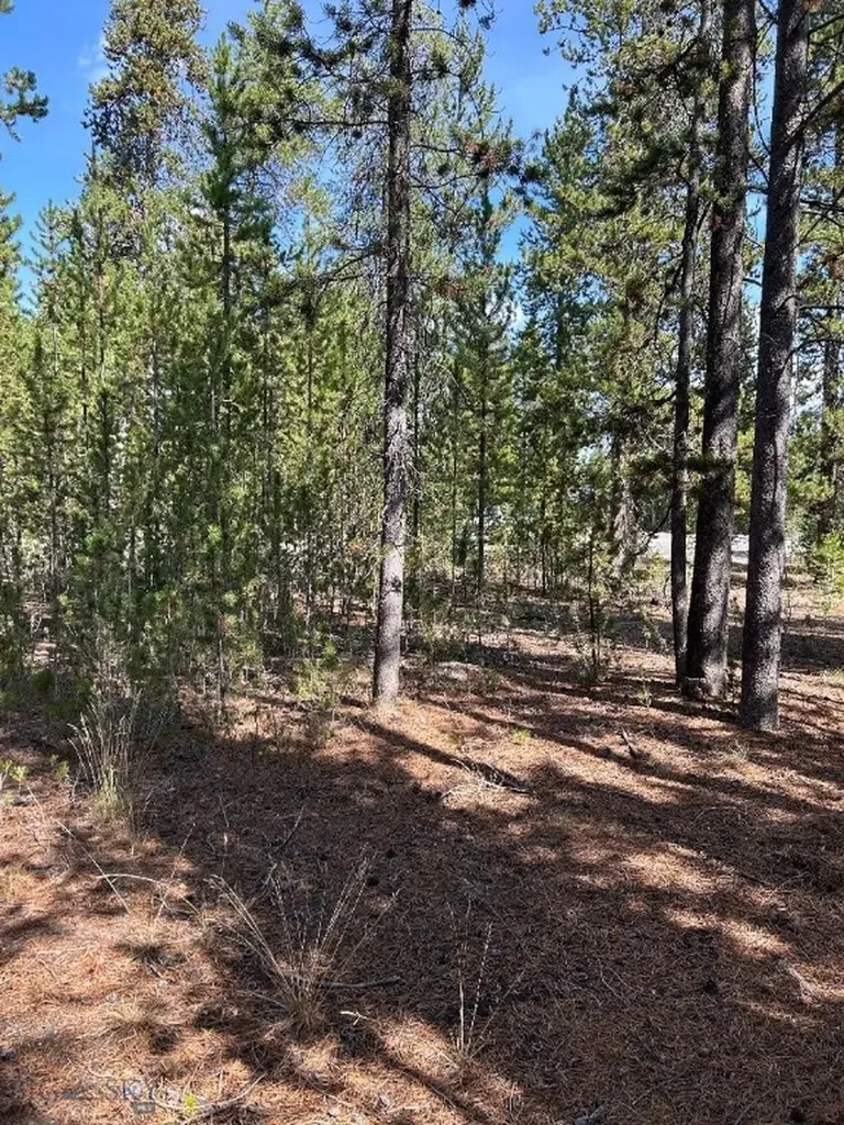 Tbd Grouse Court West Yellowstone MT 59758
