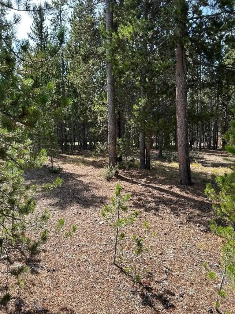 Tbd Grouse Court West Yellowstone MT 59758