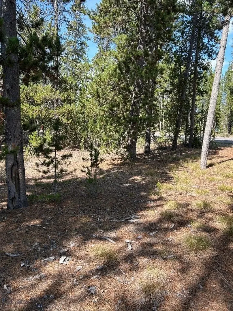 Tbd Grouse Court West Yellowstone MT 59758
