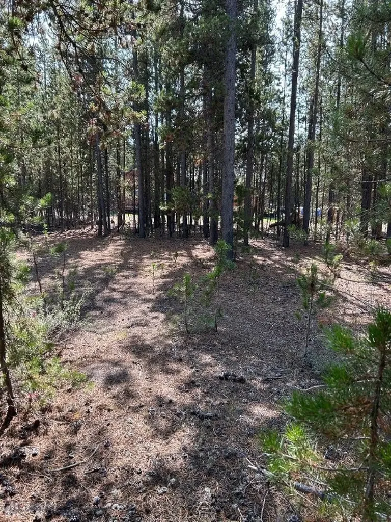 Tbd Grouse Court West Yellowstone MT 59758