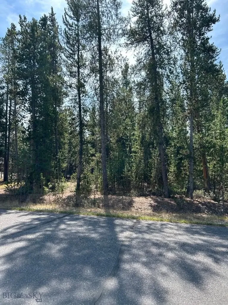 Tbd Grouse Court West Yellowstone MT 59758