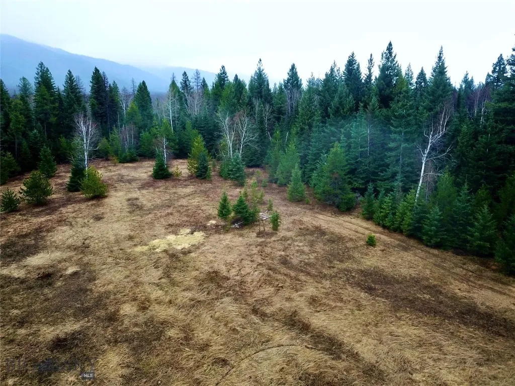 22932 Love Drive Bigfork MT 59911