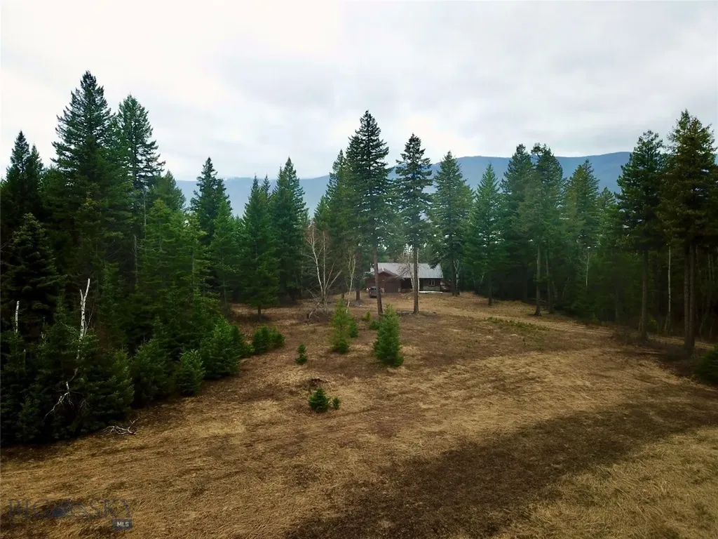 22932 Love Drive Bigfork MT 59911