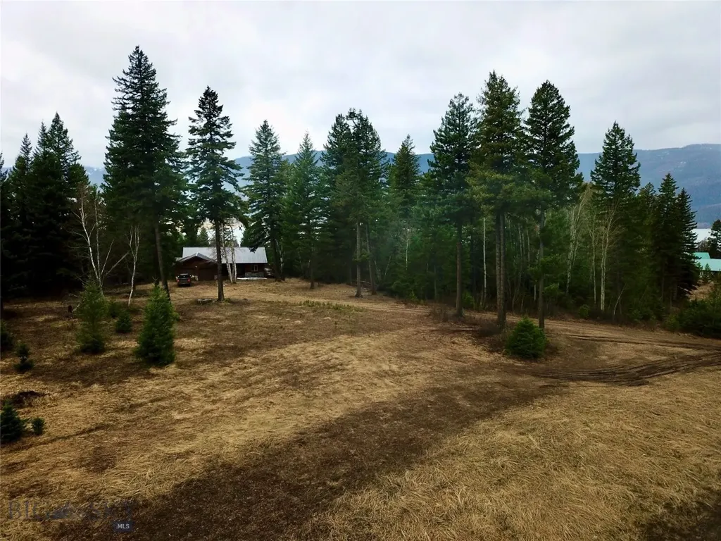 22932 Love Drive Bigfork MT 59911