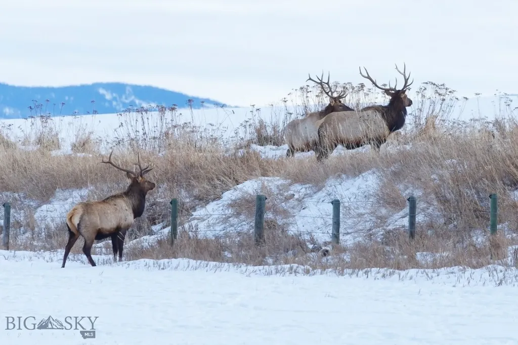 855 Deer Path Bozeman MT 59718