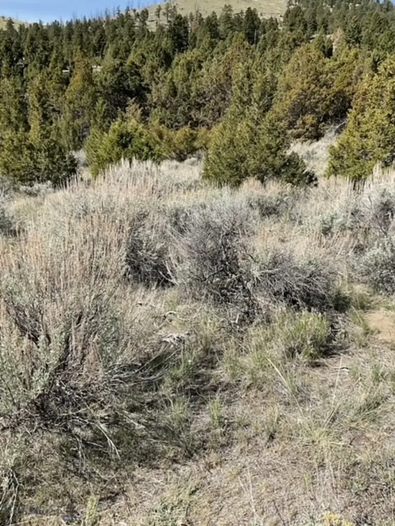 Tbd Friendspring Road Whitehall MT 59759