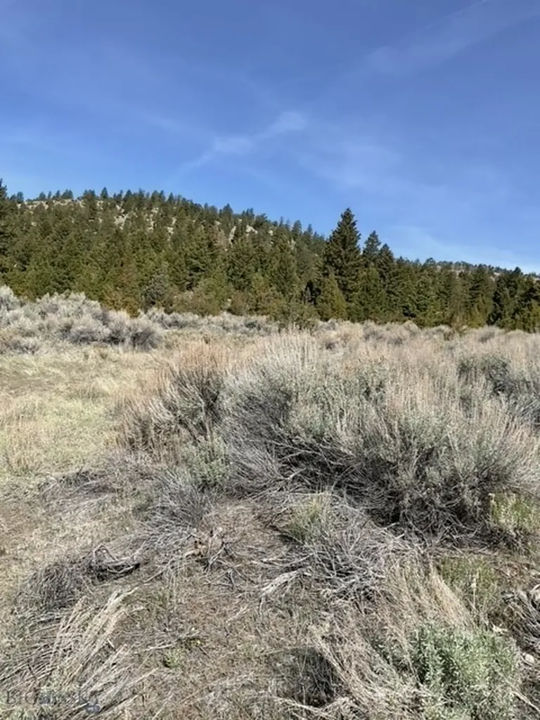 Tbd Friendspring Road Whitehall MT 59759