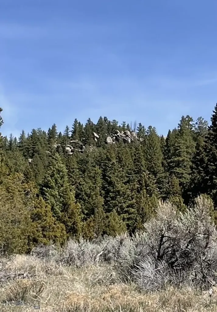 Tbd Friendspring Road Whitehall MT 59759