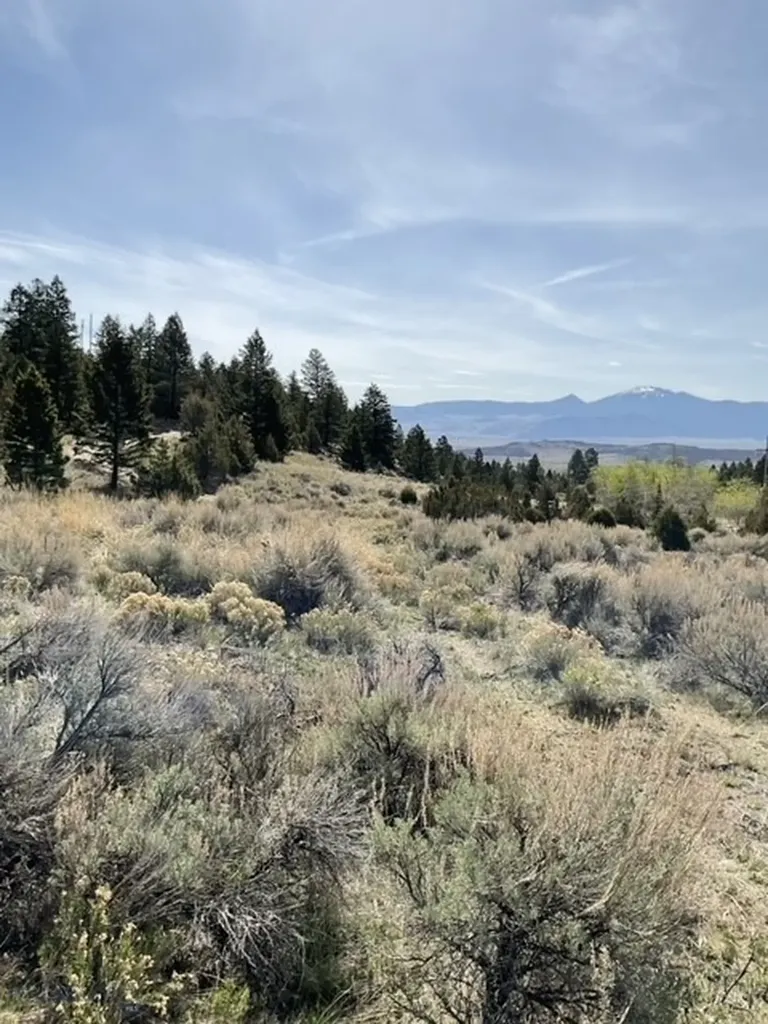Tbd Friendspring Road Whitehall MT 59759