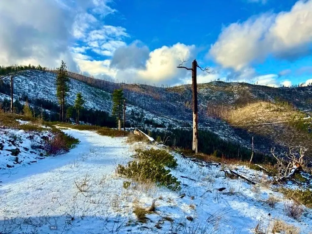 0 W Fork Combest Creek Road Plains MT 59859