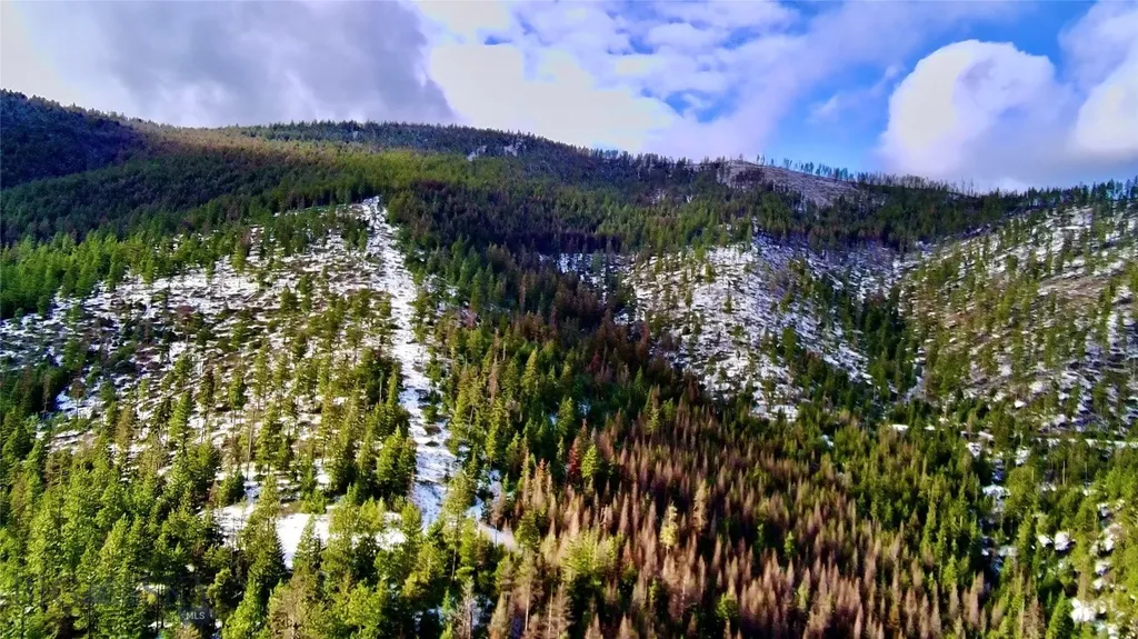 0 W Fork Combest Creek Road Plains MT 59859