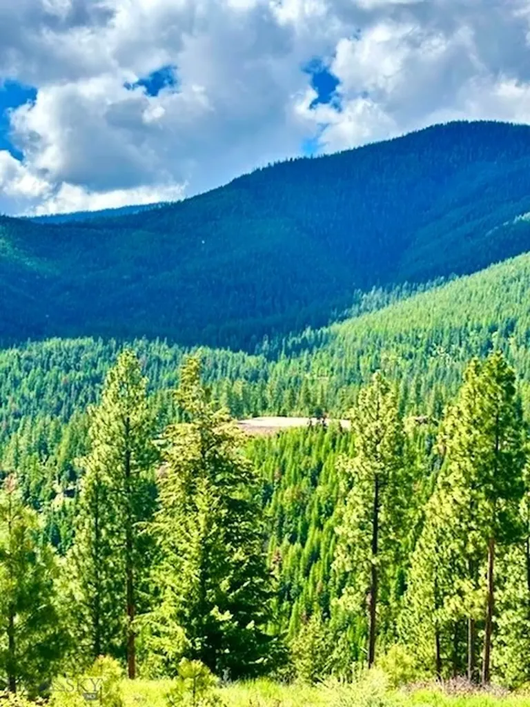 0 W Fork Combest Creek Road Plains MT 59859