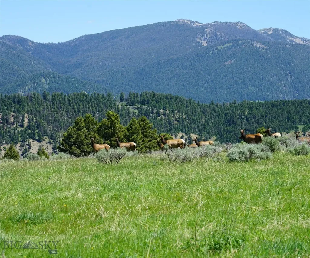 Tbd Timberloft Big Sky MT 59716