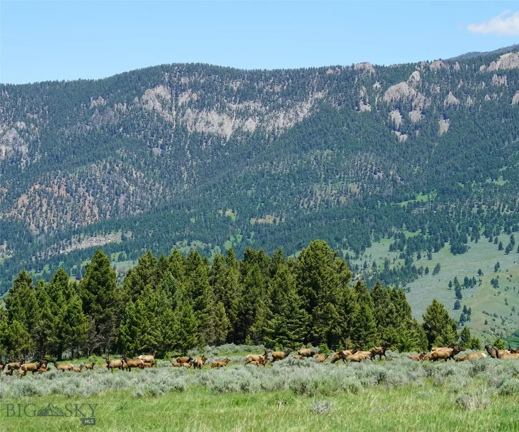 Tbd Timberloft Big Sky MT 59716