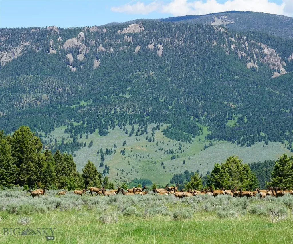 Tbd Timberloft Big Sky MT 59716