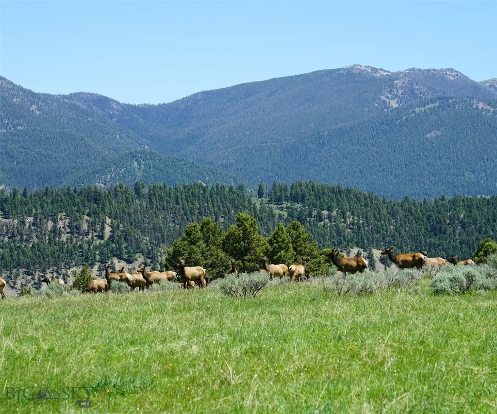 Tbd Timberloft Big Sky MT 59716