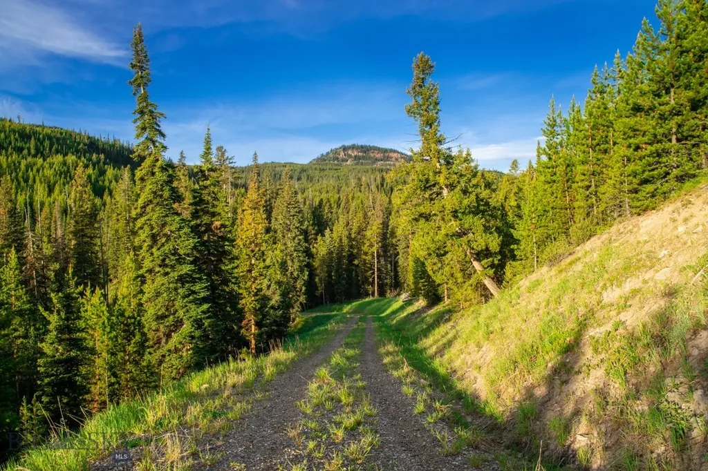 Lot 7 Trout Pond Lane Big Sky MT 59716