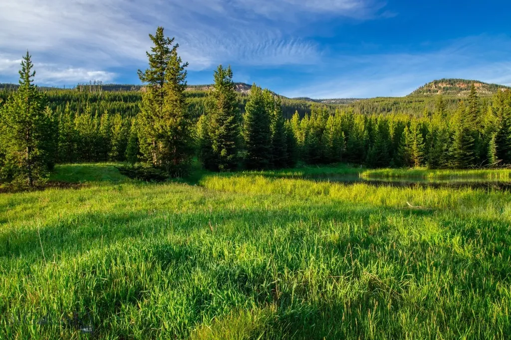 Lot 7 Trout Pond Lane Big Sky MT 59716