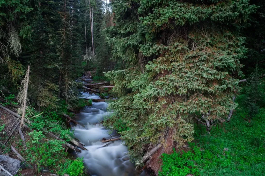 Lot 7 Trout Pond Lane Big Sky MT 59716