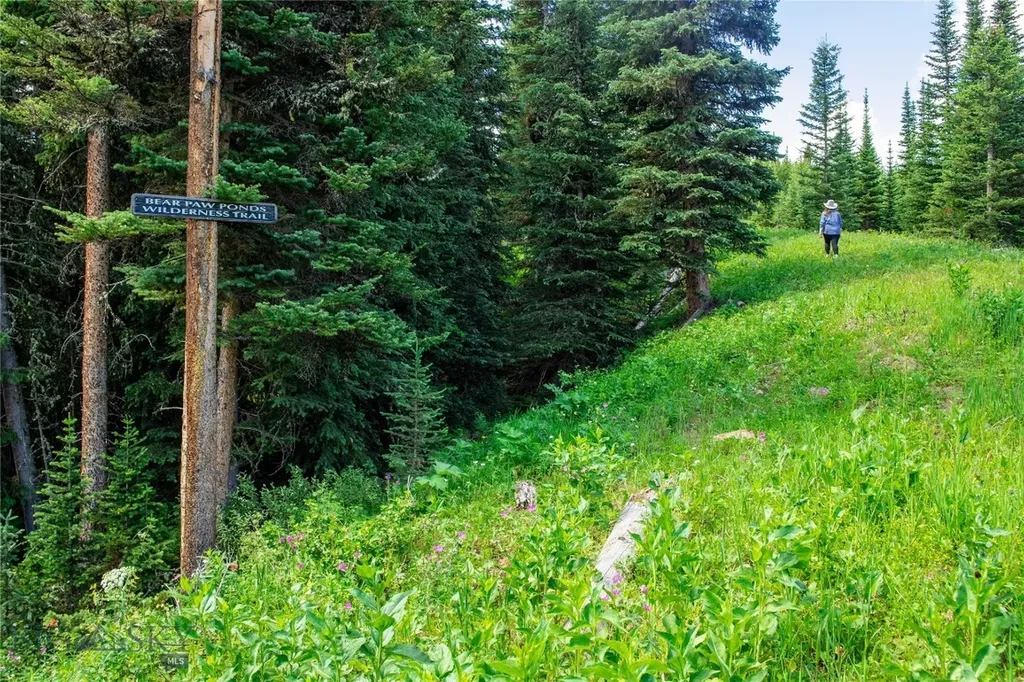 Lot 7 Trout Pond Lane Big Sky MT 59716