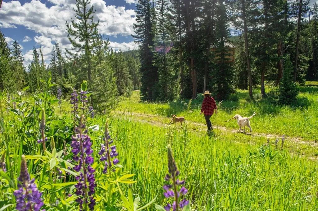 Lot 7 Trout Pond Lane Big Sky MT 59716