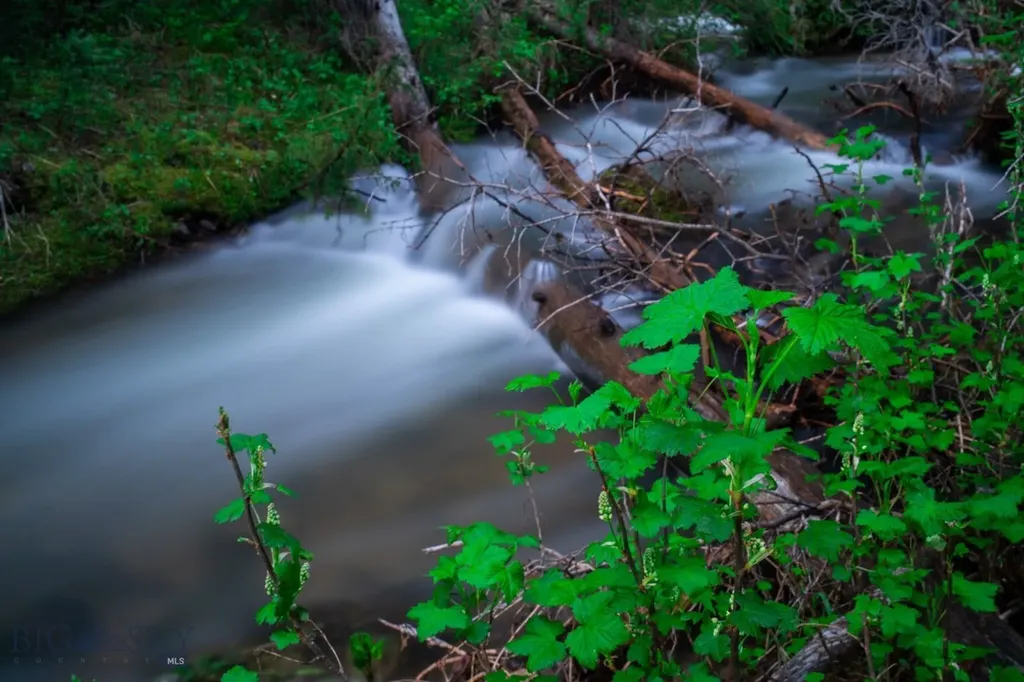 Lot 7 Trout Pond Lane Big Sky MT 59716
