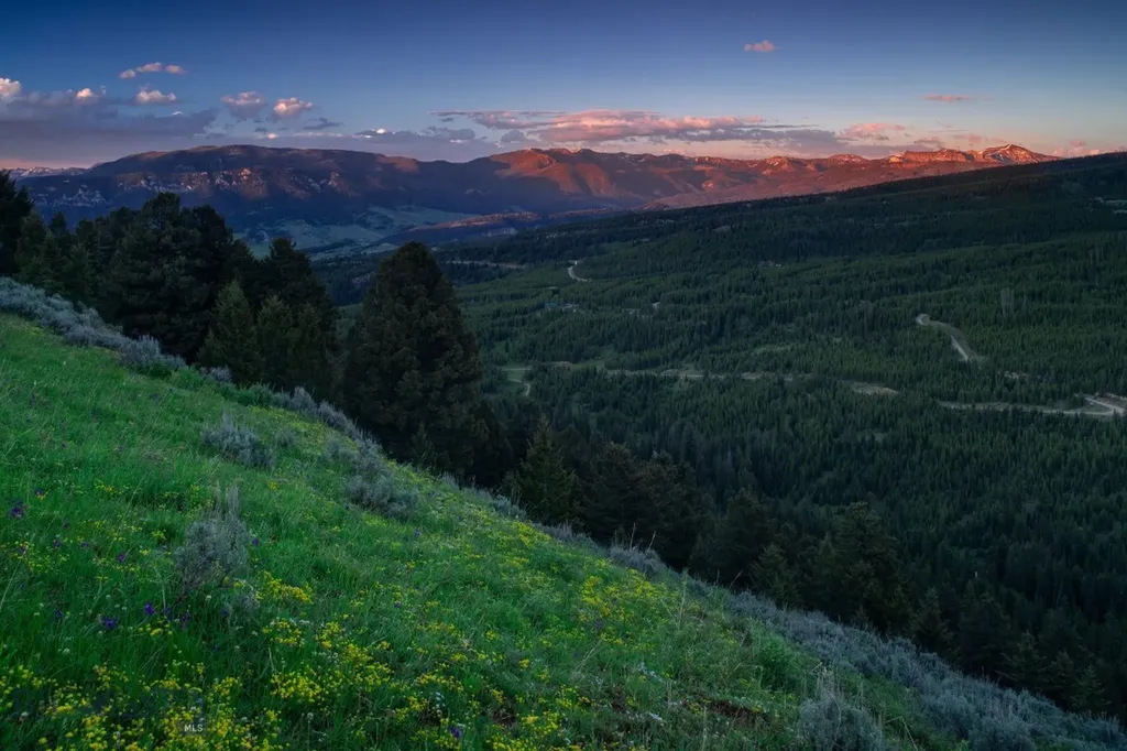 Lot 7 Trout Pond Lane Big Sky MT 59716
