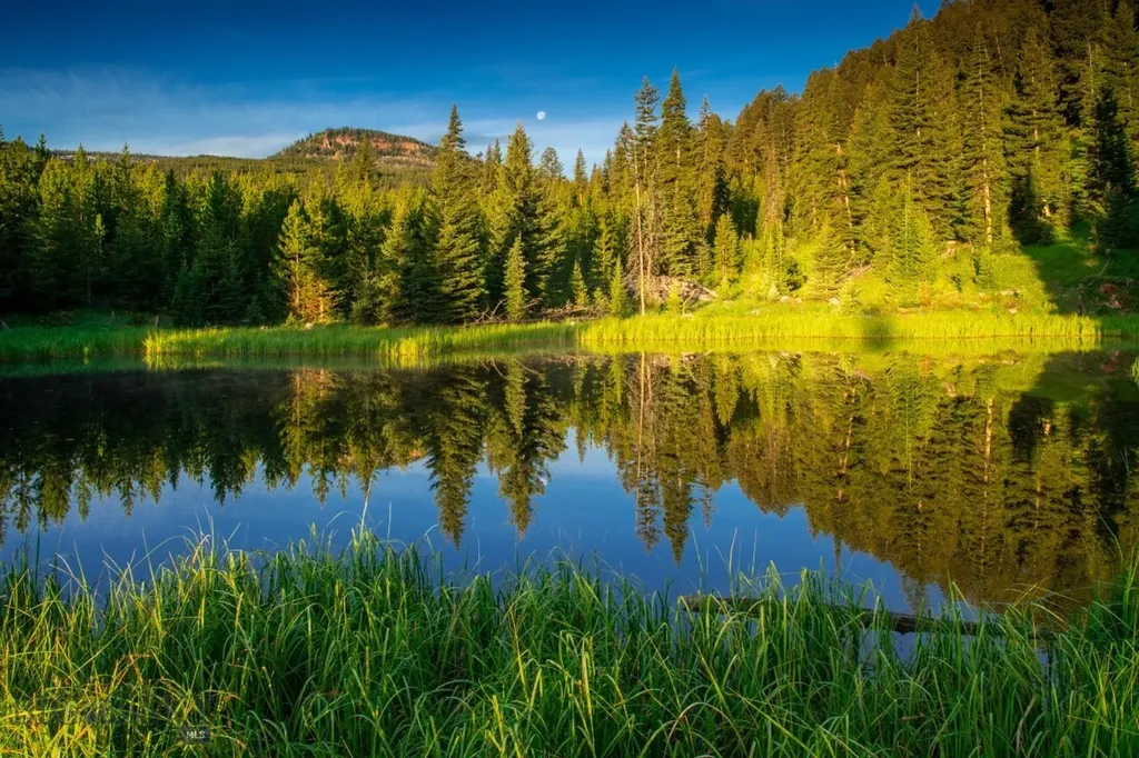 Lot 7 Trout Pond Lane Big Sky MT 59716