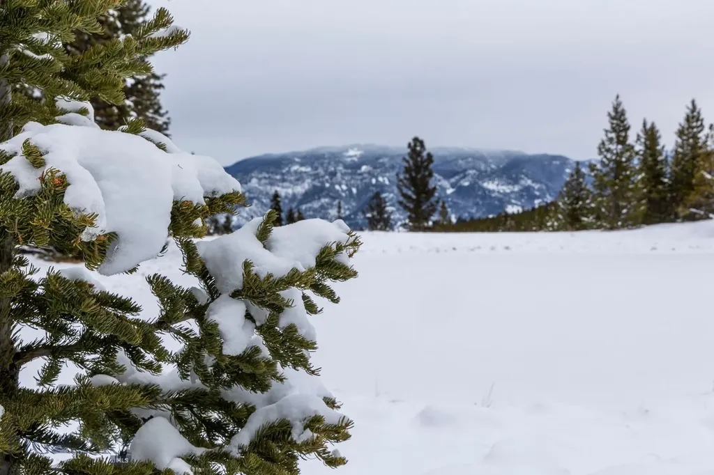 Lot 7 Trout Pond Lane Big Sky MT 59716