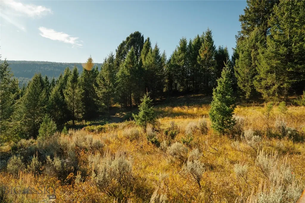 Lot 4 Upper Whitefish Drive Big Sky MT 59716