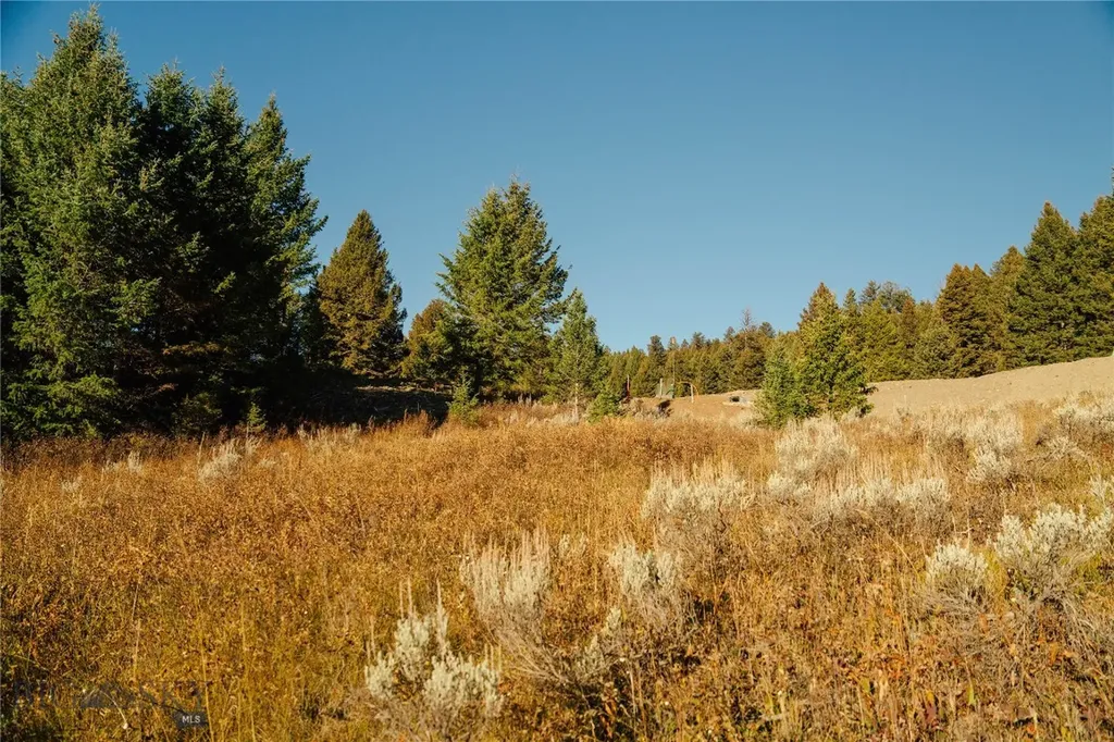 Lot 4 Upper Whitefish Drive Big Sky MT 59716
