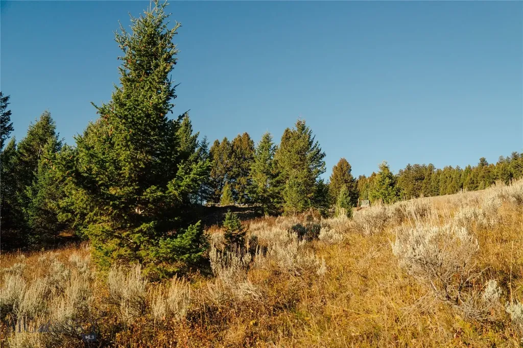 Lot 4 Upper Whitefish Drive Big Sky MT 59716