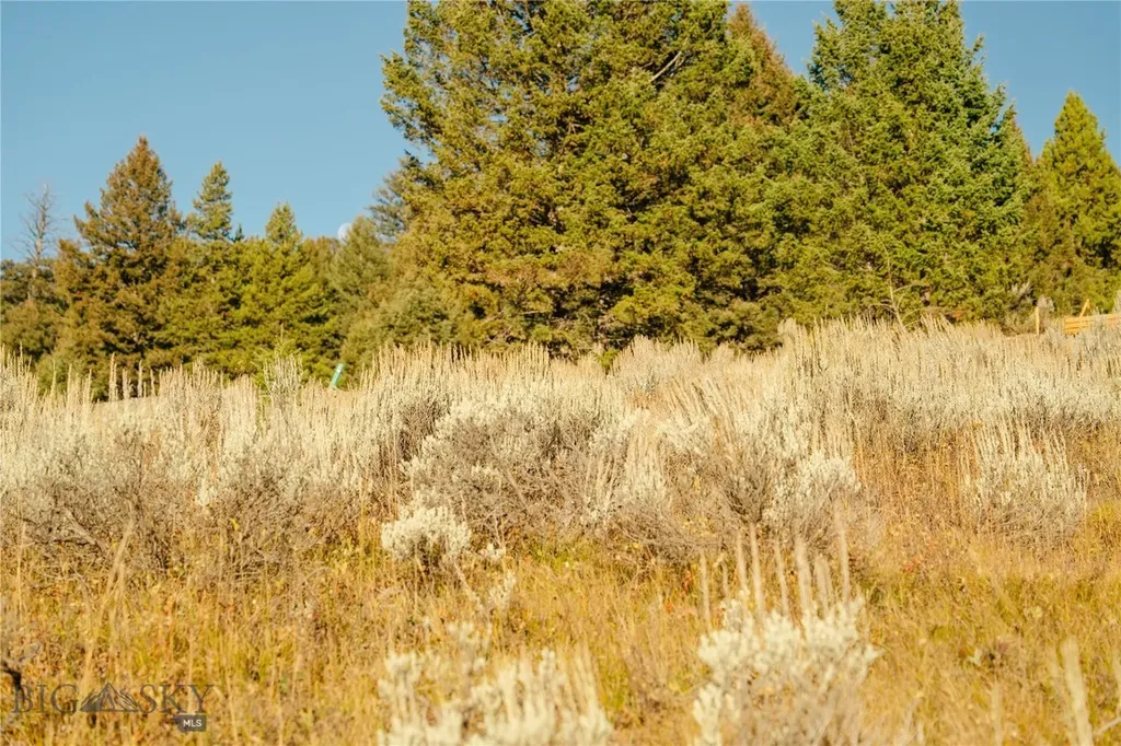 Lot 4 Upper Whitefish Drive Big Sky MT 59716